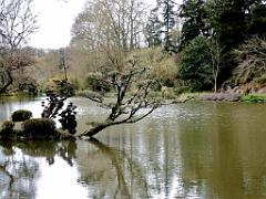 149 PARC ORIENTAL DE MAULEVIER MAINE ET LOIRE 2016 N2_000033